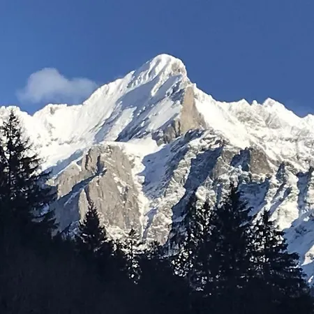 Apartment Wychelrain Grindelwald